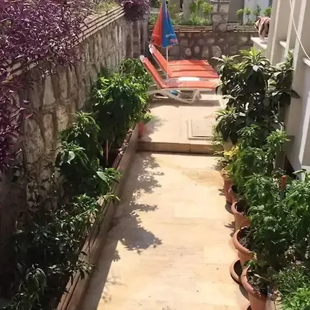 Dream 호텔 말마리스