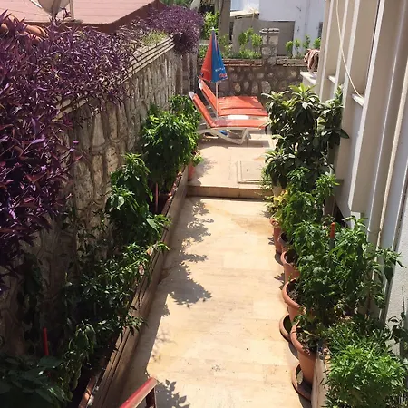 Dream 2* מרמריס