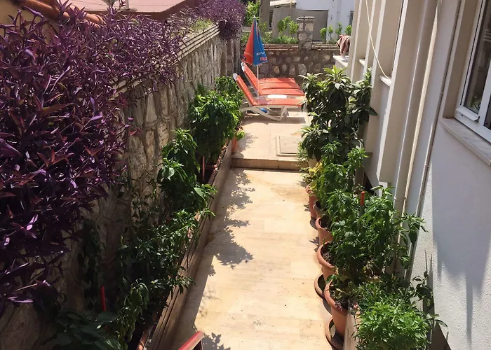 Dream 2* Мармарис